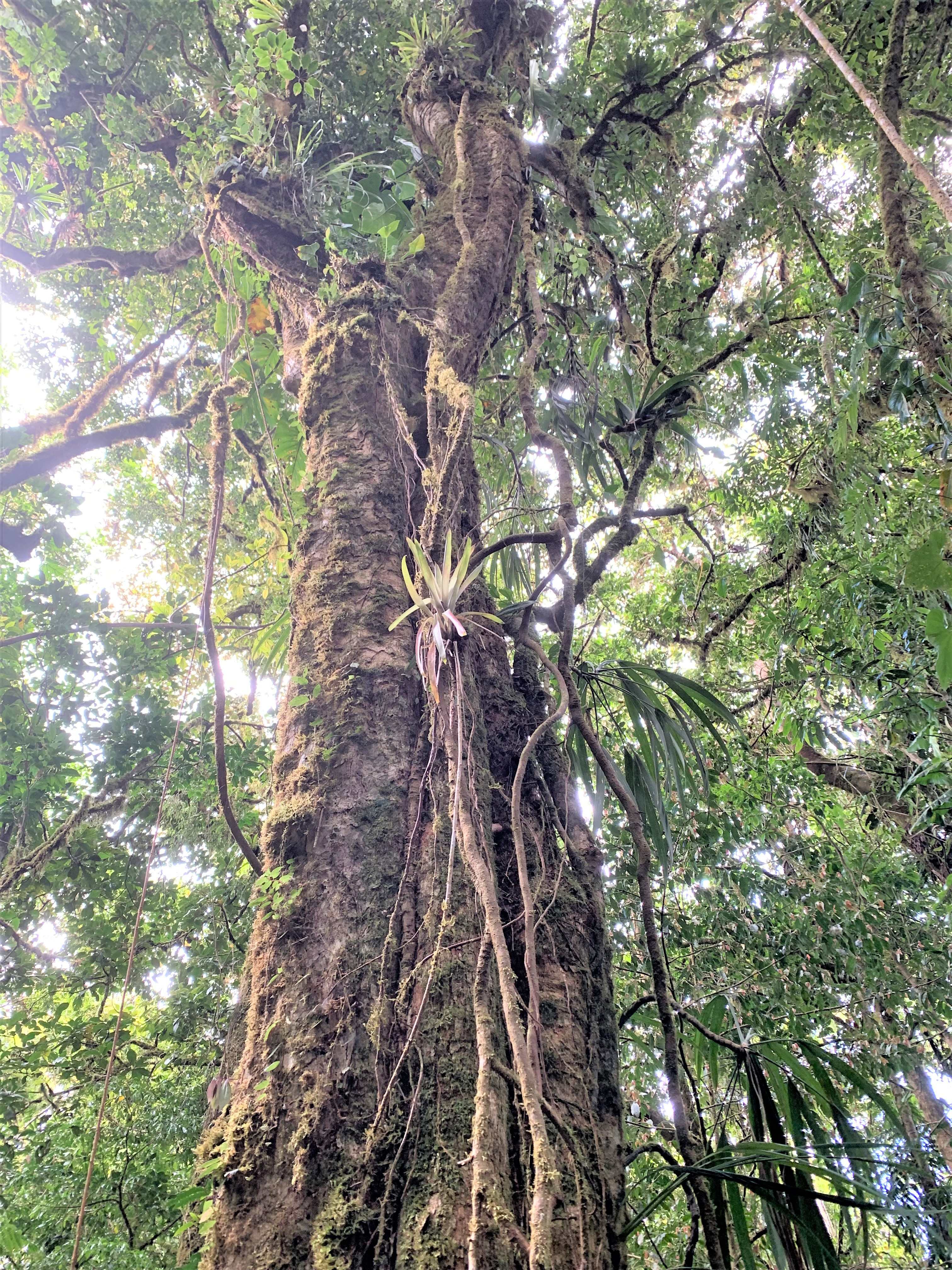Costa Rica